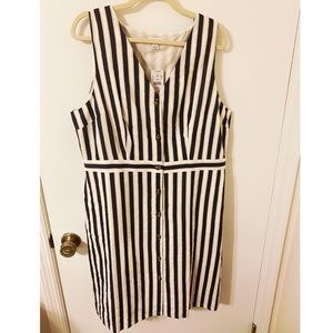 J. Crew Navy and White Shift Dress